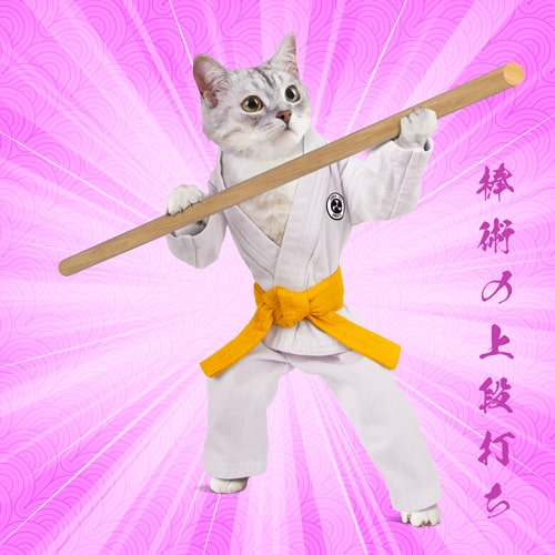 Bojutsu No Jodan Uchi