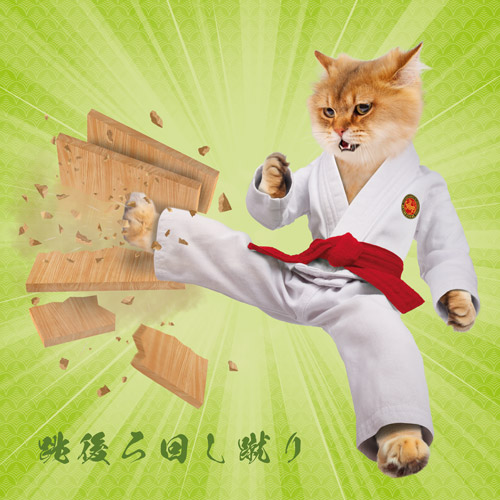 Tobi Ushiro Mawashi Geri