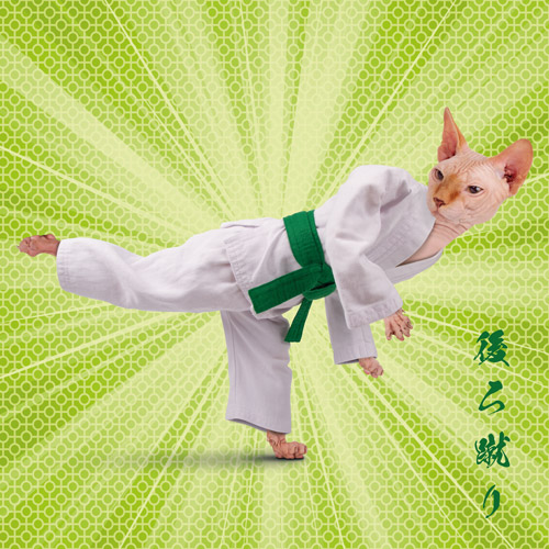 Ushiro Geri
